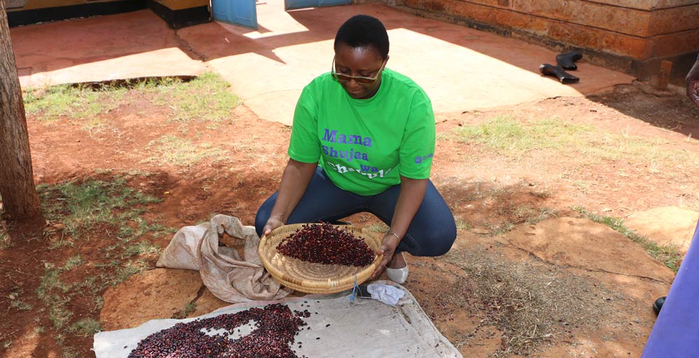 Kenya nuts tendered by woman