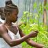 Young woman in greenhouse farm, Kenya