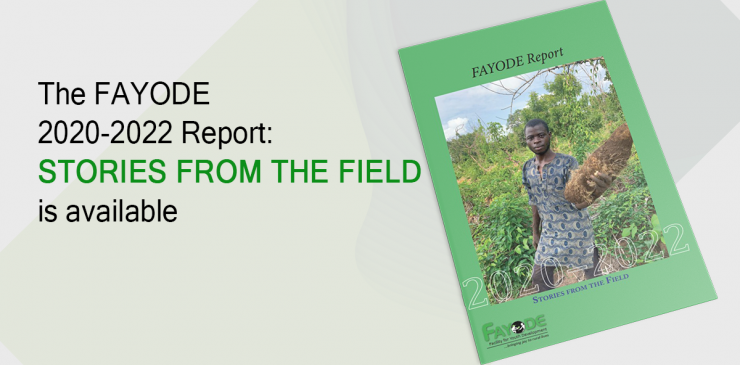 FAYODE's 2020-2022 Report Stories from the field has been released